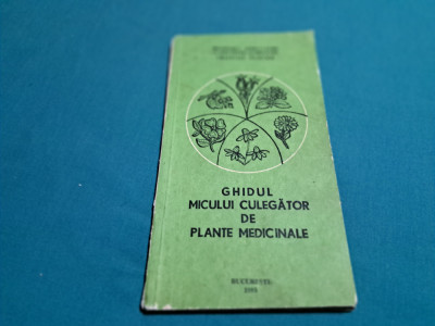 GHIDUL MICULUI CULEGĂTOR DE PLANTE MEDICINALE /1985 * foto