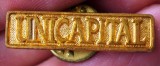 I.131 ROMANIA INSIGNA PIN UNICAPITAL L27mm AURIE V2, Romania de la 1950