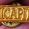 I.131 ROMANIA INSIGNA PIN UNICAPITAL L27mm AURIE V2
