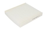 Filtru Habitaclu 142925 71896