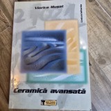 CERAMICA AVANSATA - VIORICA MUSAT