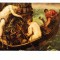 AMS - ILUSTRATA/VEDERE JACOPO TINTORETTO, NECIRCULATA