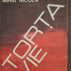 Torta vie Mihai Nicola 1981