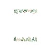 Eucalyptus Boxed Stationery [With Envelope]