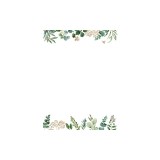 Eucalyptus Boxed Stationery [With Envelope]