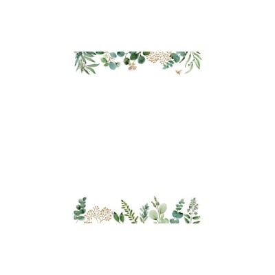 Eucalyptus Boxed Stationery [With Envelope] foto