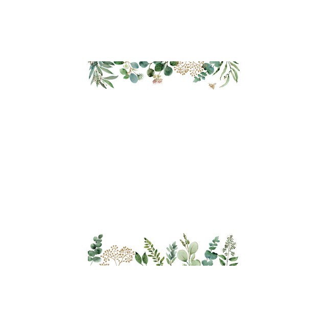 Eucalyptus Boxed Stationery [With Envelope]
