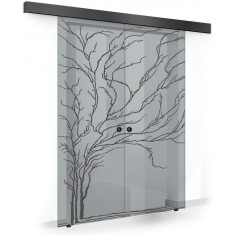 Usa culisanta Boss &reg; Duo Black model Tree negru, 60+60x215 cm, sticla gri securizata, glisanta in ambele directii