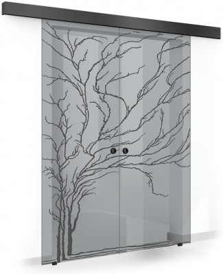 Usa culisanta Boss &amp;reg; Duo Black model Tree negru, 80+80x215 cm, sticla gri securizata, glisanta in ambele directii foto