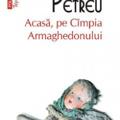 Acasa, pe Cimpia Armaghedonului - Marta Petreu