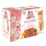 Brit Care Flavour Box Fillet Ingravy, 4 arome, plic hrană umedă fară cereale pisici, (&icirc;n sos), 12 x 85g