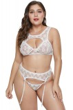 N508P-2 Lenjerie sexy din dantela din doua piese