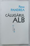 CALUGARUL ALB de PETRE PANDREA , 2020