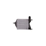 Intercooler Lancia Ypsilon 843 Denso Dit09101