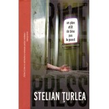 Stelian Turlea - Un plan atat de bine pus la punct - 136066