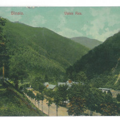 1853 - SINAIA, Prahova, Panorama, Romania - old postcard - used - 1907