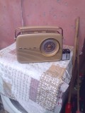 Aparat de Radio Bush