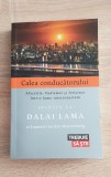 Calea conducătorului - Dalai Lama, Laurens van den Muyzenberg