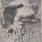 Bolile cainelui