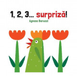 1,2,3... surpriză! - Hardcover - Agnese Baruzzi - Vlad și Cartea cu Genius