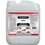 Cumpara ieftin Insecticid concentrat paduchi, purici, gandaci, furnici, muste, tantari Ectocid T Forte 5litri