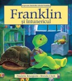 Franklin si intunericul/Paulette Bourgeois