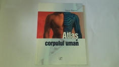 VIGUE - MARTIN - ATLAS AL CORPULUI UMAN foto