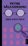 Apa care tace - Petre Salcudeanu - Publisol