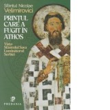 Printul care a fugit in Athos. Viata Sfantului Sava Luminatorul Serbiei - Sfantul Nicolae Velimirovici