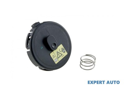 Membrana aerisire epurator capac culbutori BMW X3 (2004-&amp;gt;) [E83] #1 foto