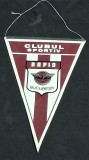 Fanion fotbal - RAPID BUCURESTI (model 1-snur)