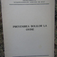 PREVENIREA BOLILOR LA OVINE