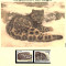 K&acirc;rgistan 1994 - Leopardul de zăpadă. Set WWF, 6 poze, MNH, (vezi descrierea)