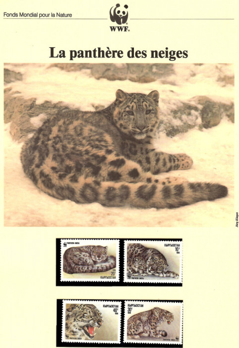 K&acirc;rgistan 1994 - Leopardul de zăpadă. Set WWF, 6 poze, MNH, (vezi descrierea)