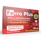 Ferro Plus 250mg Fier Biscglicinat, 10 fiole buvabile, Justin Pharma