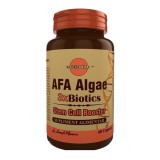 AFA Algae 3xBiotics 40 capsule Medica, Medica Farmimpex