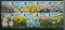 Foto  - 1