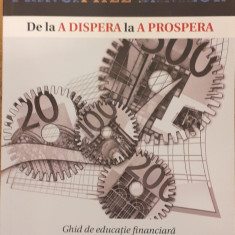 Principiile banilor De la a dispera la a prospera Ghid de educatie financiara