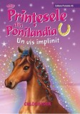 Printesele din Ponilandia: Un vis implinit - Chloe Ryder
