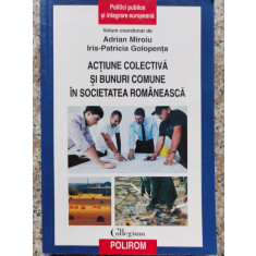Actiune Colectiva Si Bunuri Comune In Societatea Romaneasca - Adrian Miroiu, Iris-patricia Golopenta ,552849