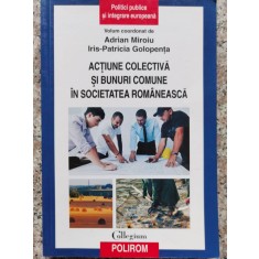 Actiune Colectiva Si Bunuri Comune In Societatea Romaneasca - Adrian Miroiu, Iris-patricia Golopenta , A11