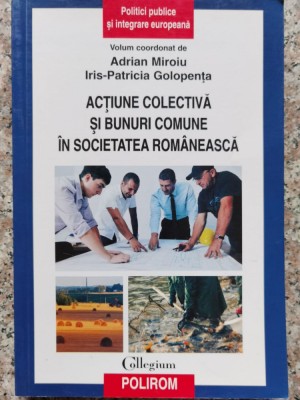 Actiune Colectiva Si Bunuri Comune In Societatea Romaneasca - Adrian Miroiu, Iris-patricia Golopenta , A11 foto