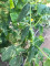 Foto  - 3