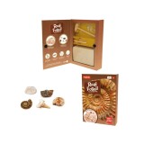 Kit paleontologie - Descopera fosile