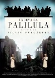 Undeva la Palilula -