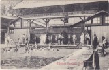 CP BUZIAS UDVOZLET BUZIASFURDOROL USZODA PISCINA ND, Circulata, Fotografie