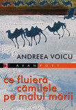 Ce fluieră cămilele pe malul mării - Paperback brosat - Andreea Voicu - Paralela 45, 2021