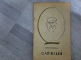 Garibaldi de Mircea Padureleanu