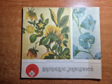 Broderie Artistica 1988 - Carte Arta Populara, 108 pagini, Stare Buna