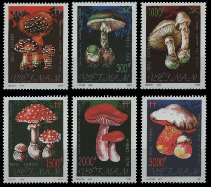 VIETNAM 1991 CIUPERCI